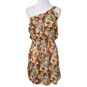 Charlie Jade One Shoulder Multicolored Lightweight Silk Dress